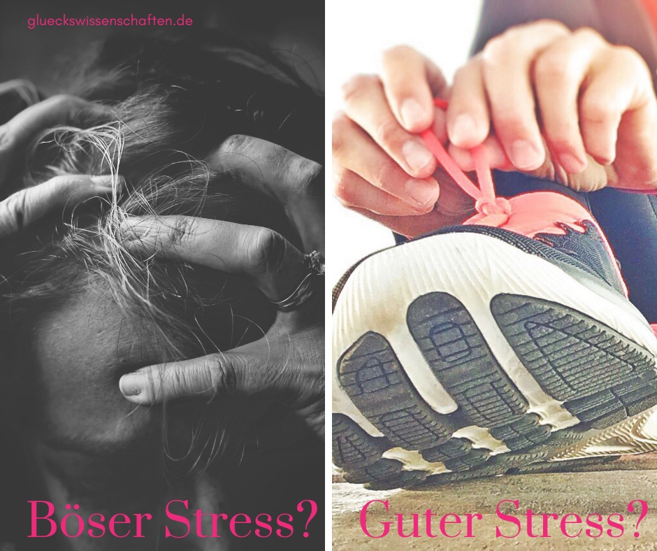 Böser Stress vs guter Stress