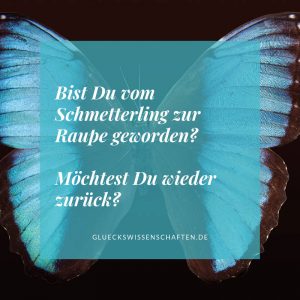 Bist Du vom Schmetterling zur Raupe geworden?