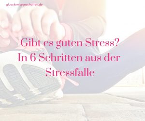 Gibt es guten Stress? In 6 Schritten aus der Stressfalle!