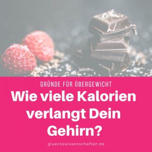Wie viele Kalorien verlangt Dein Gehirn?