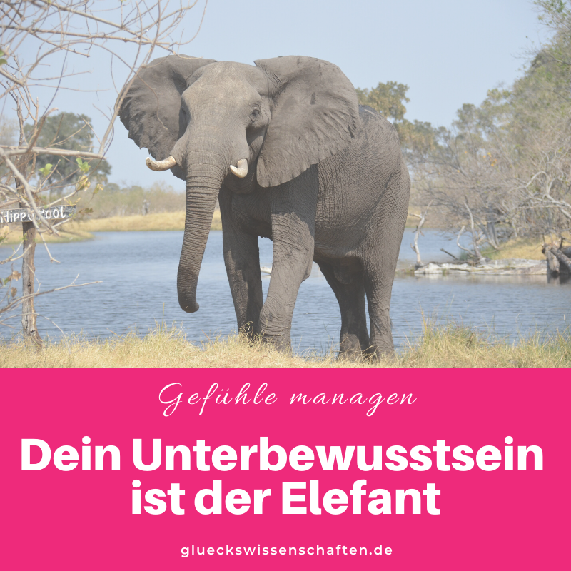 Glückswissenschaften - Anleitung Gefühle managen - Willst Du was erreichen- Dein Unterbewusstsein ist der Elefant