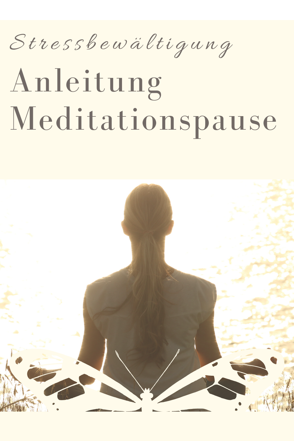 Glückswissenschaften - Stressbewältigung - Anleitung Meditationspause