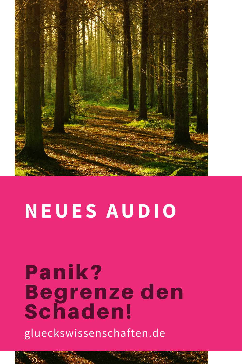 Glueckswissenschaften- Neues Audio für Dich - Panik - Begrenze den Schaden