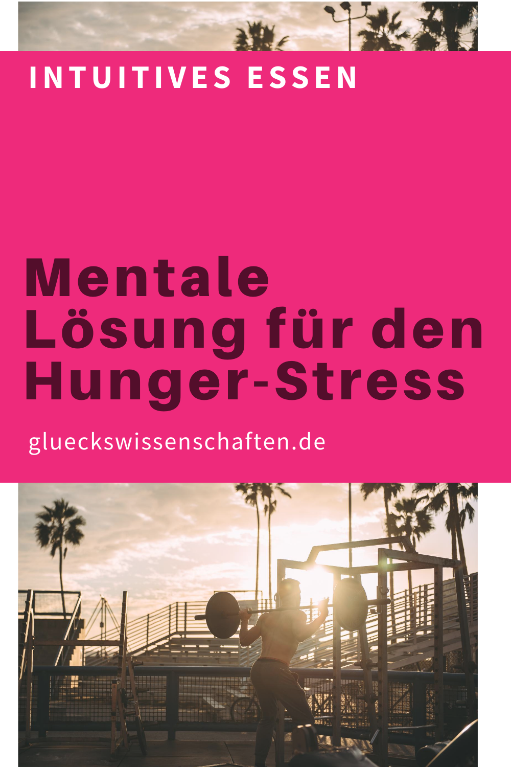 Glueckswissenschaften- Intuitives Essen - Schlaraffenland -Mentale Lösung für den Hunger-Stress